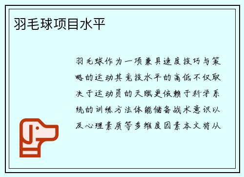 羽毛球项目水平