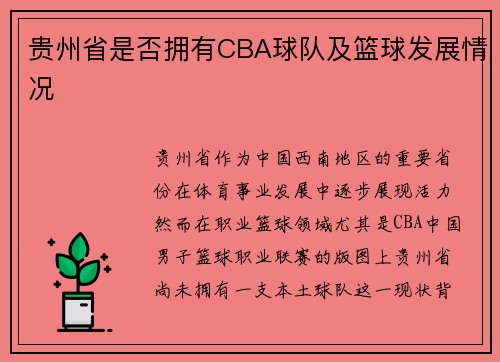 贵州省是否拥有CBA球队及篮球发展情况